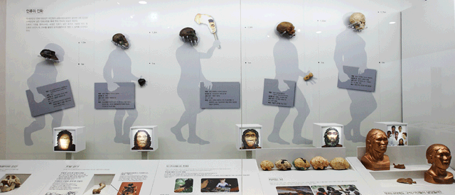 인류의 탄생 진화 과정 이미지