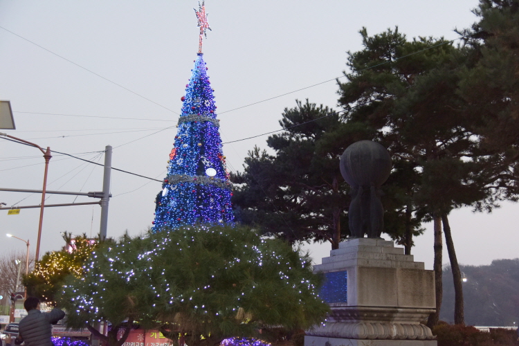 2017년11월25일 크리스마스트리 접등식 이미지