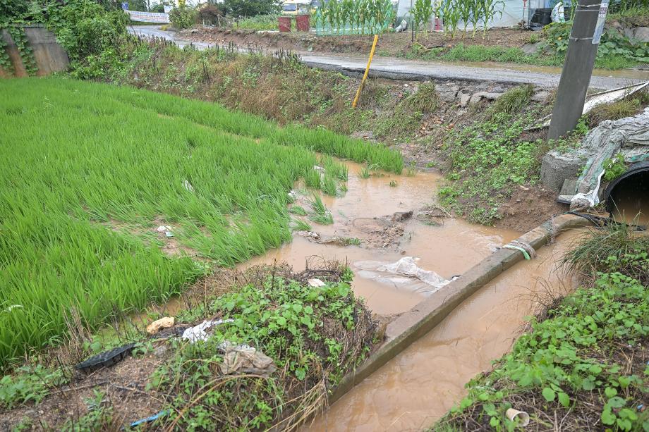 2025년 7월 17일 수해현장 방문 이미지