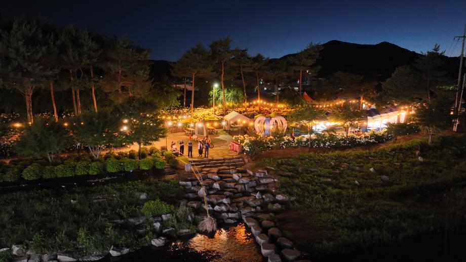 공주 유구색동수국정원 꽃 축제5